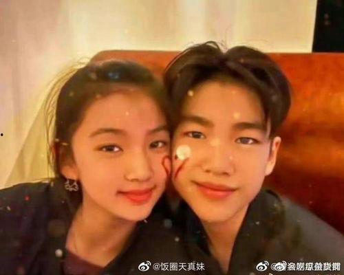 庄家欣爆料视频大全最新,揭秘娱乐圈幕后真相